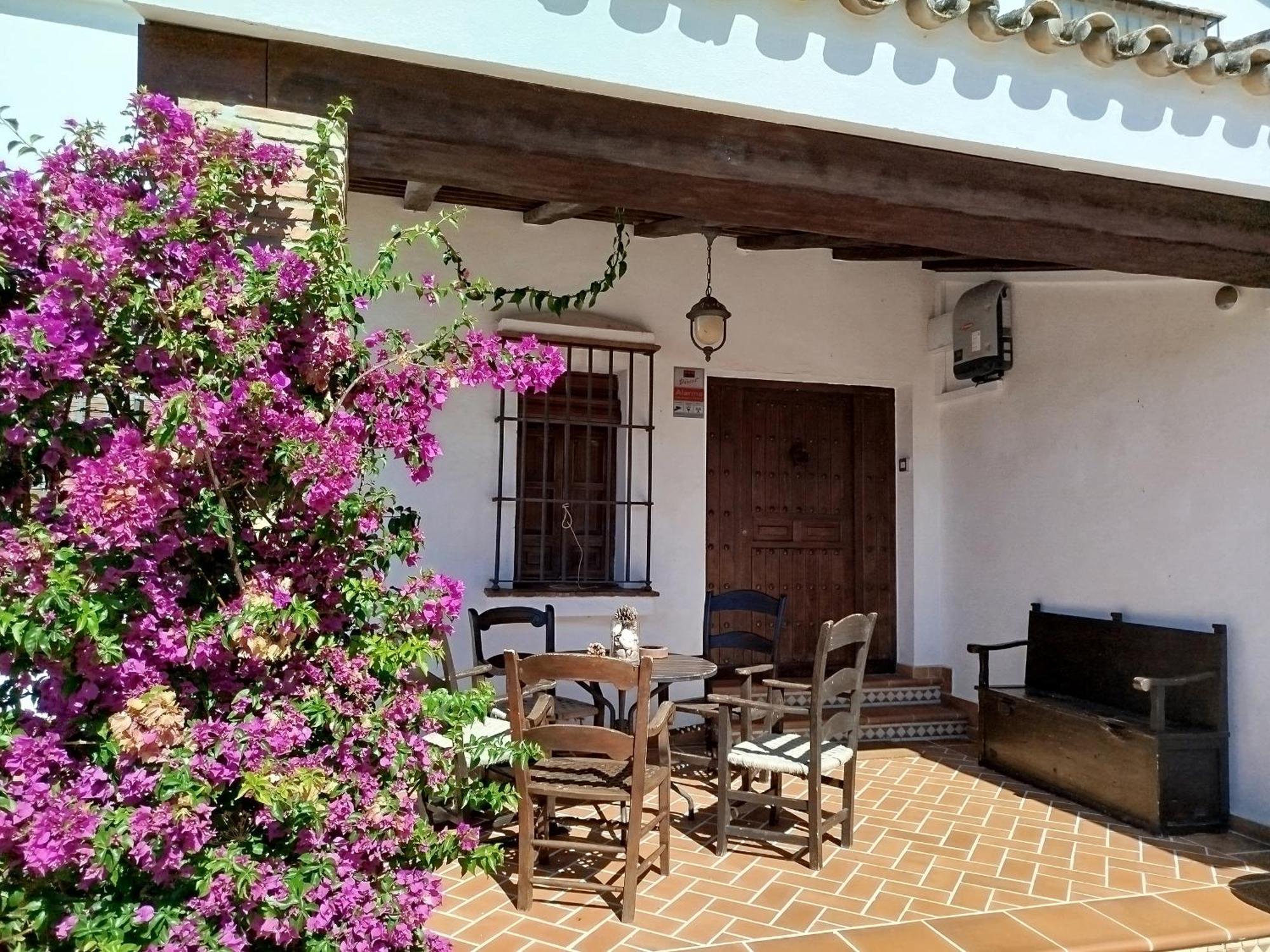 Gran Casa Con Piscina Privada By Chiclana Dreams Villa Chiclana de la Frontera Eksteriør billede